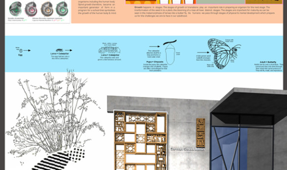 Portfolio Image